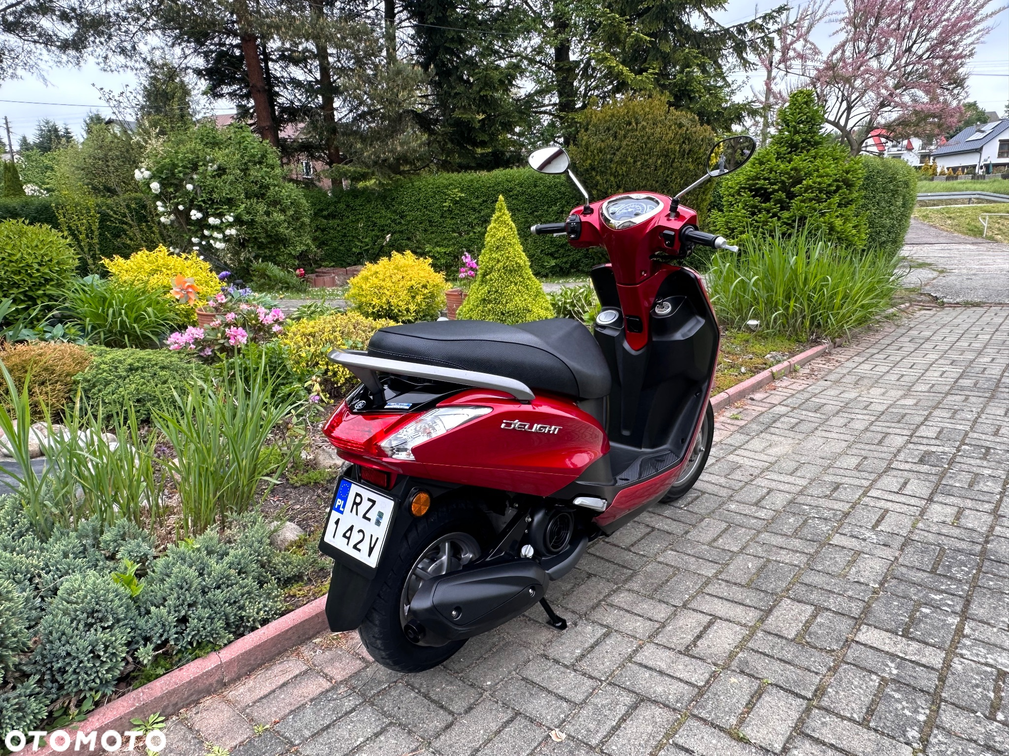 Yamaha D'elight - 13