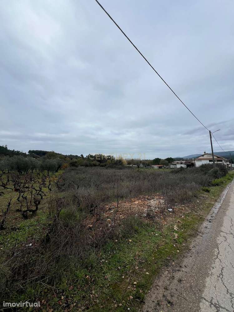 Excelente Terreno na Aguda – Tranquilidade, Natureza e Ótimos Acessos - Grande imagem: 2/5