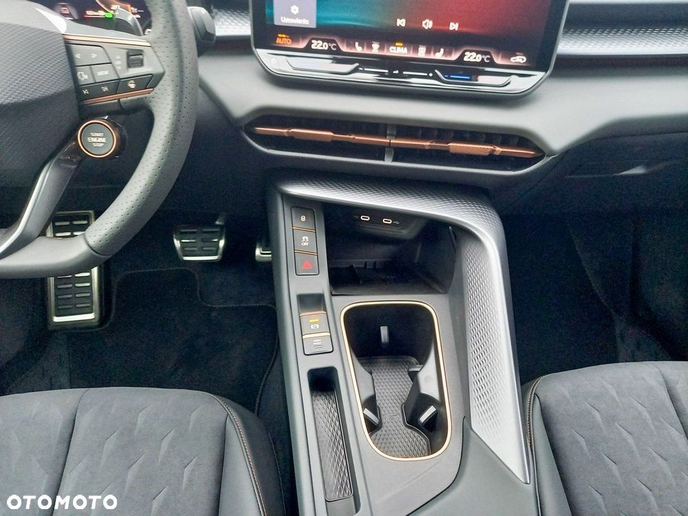 Cupra Terramar - 13
