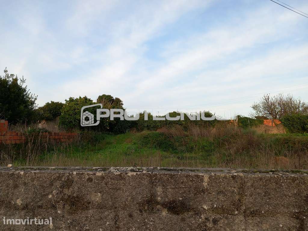 Terreno p/ Moradia Isolada – Aradas - Grande imagem: 2/6