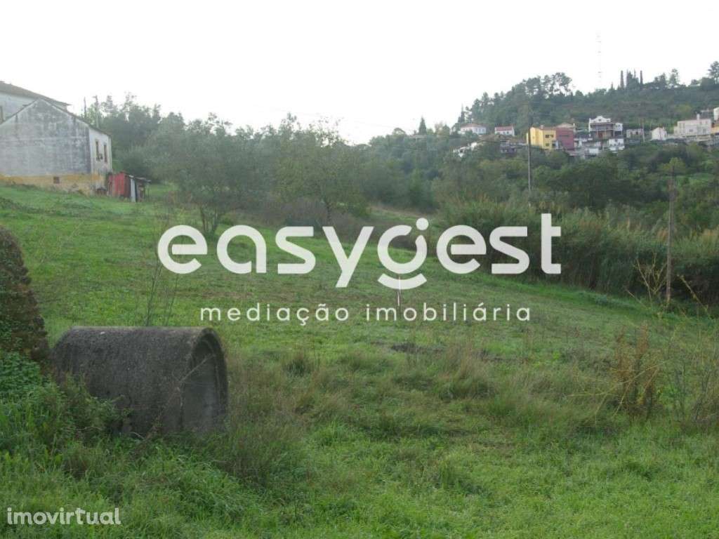 Terreno Coimbra-Pereiros com projeto aprovado para Moradia Bi-familiar - Grande imagem: 5/5