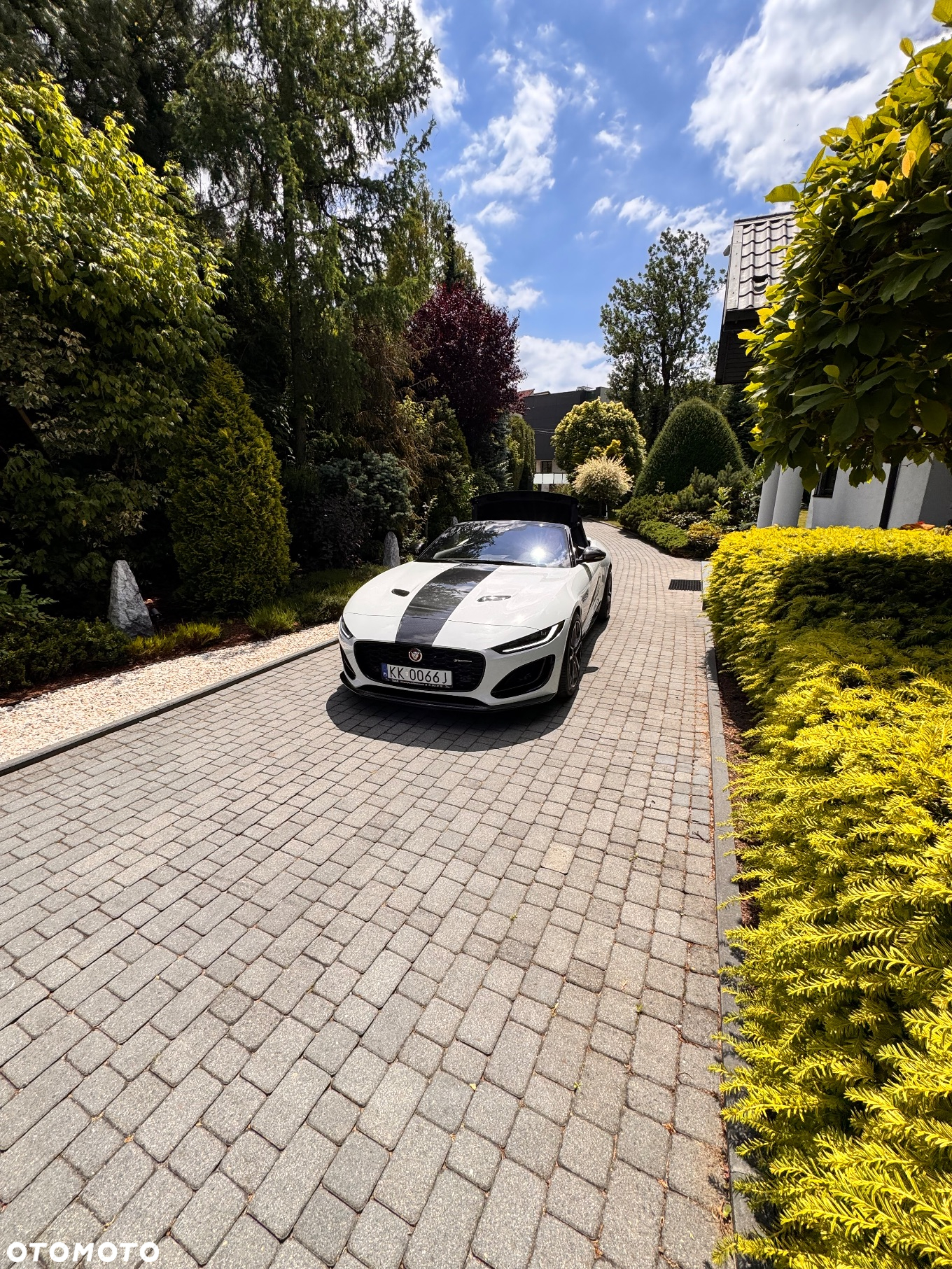 Jaguar F-Type 2.0 Turbo R-Dynamic - 3