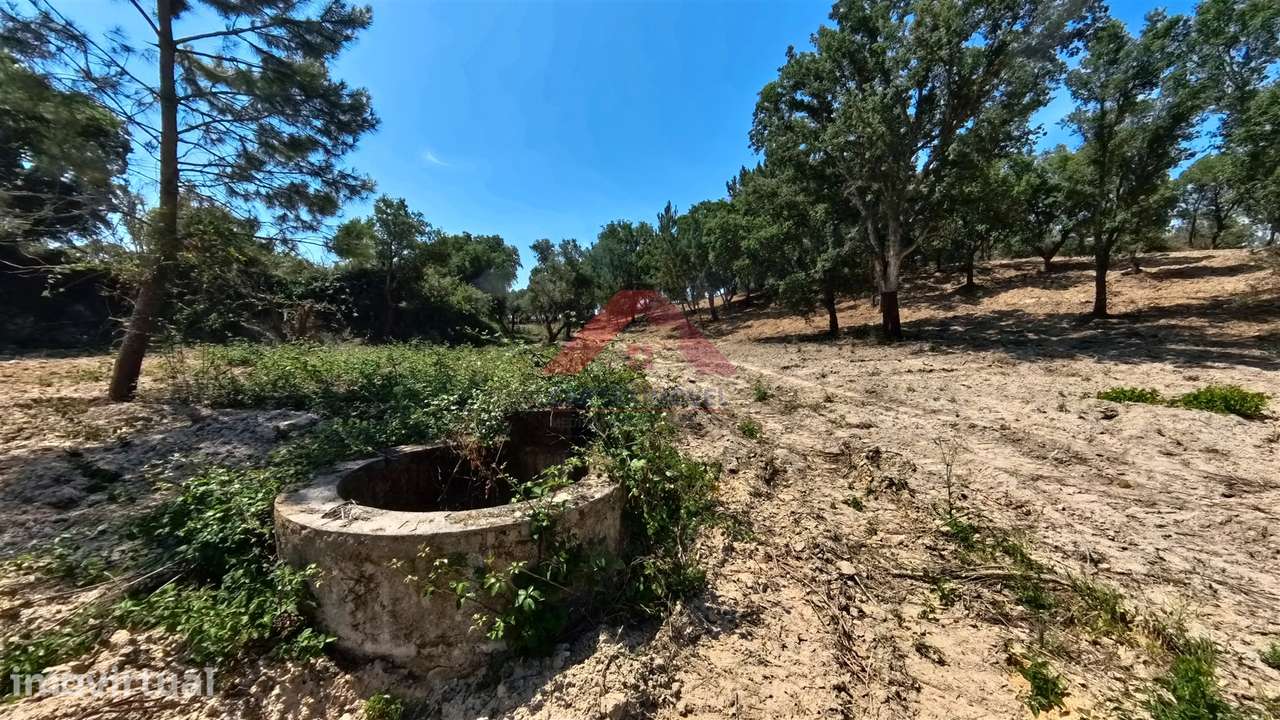 Terreno Para Construção  Venda em Cartaxo e Vale da Pinta,Cartaxo - Grande imagem: 5/25