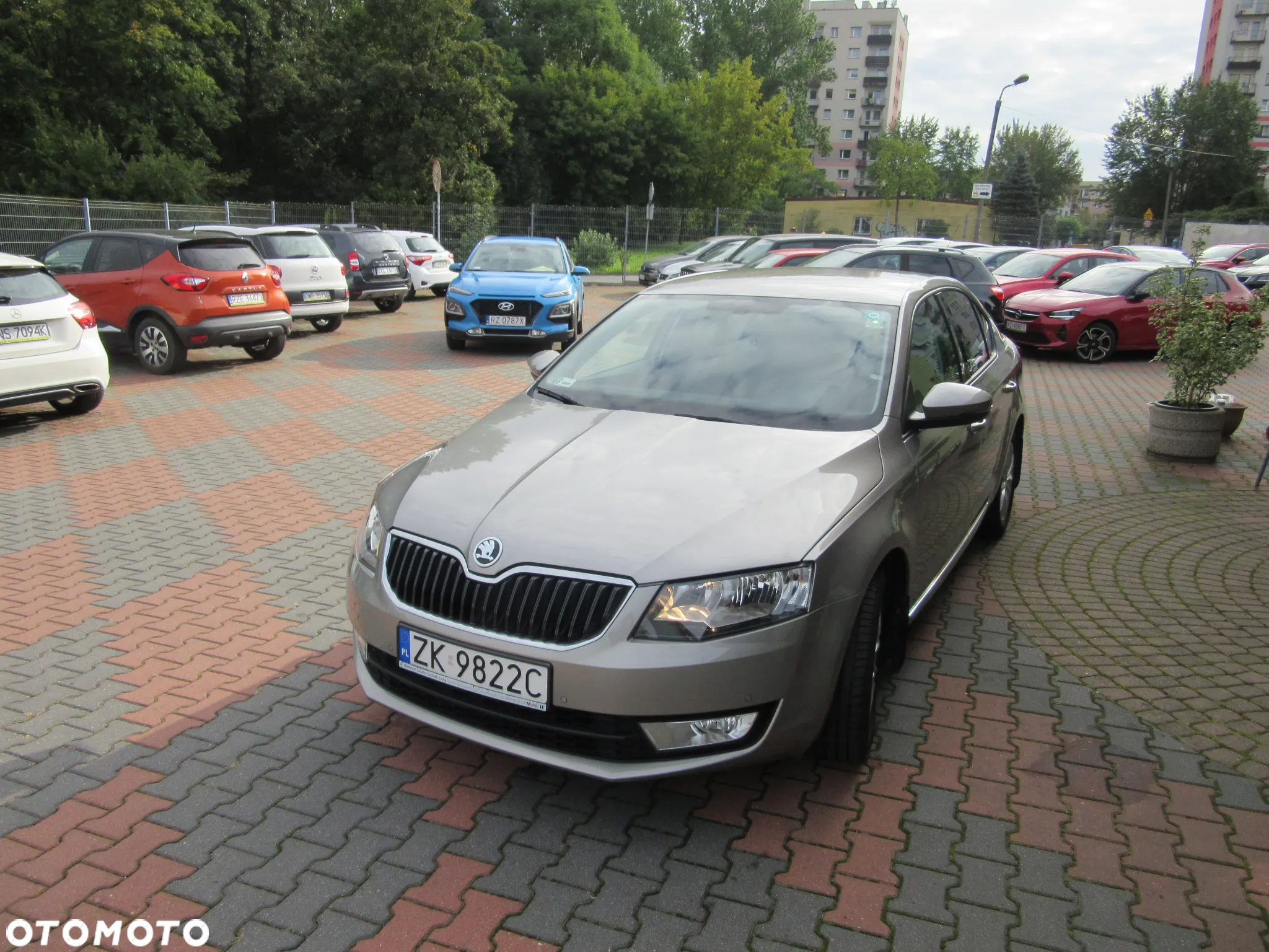 Skoda Octavia - 3