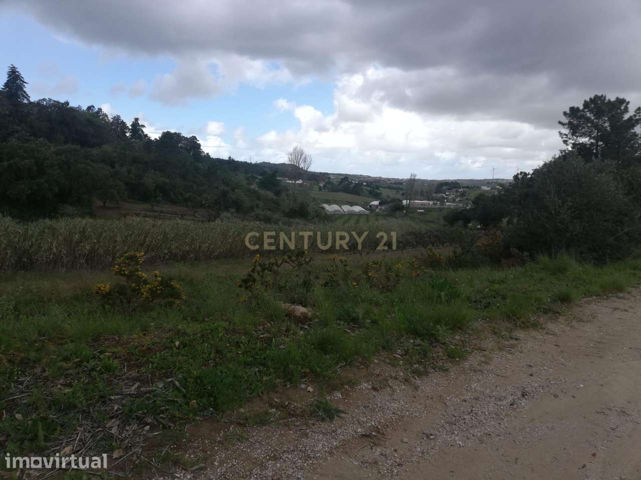Terreno Agrícola na Zona Oeste - Grande imagem: 3/14