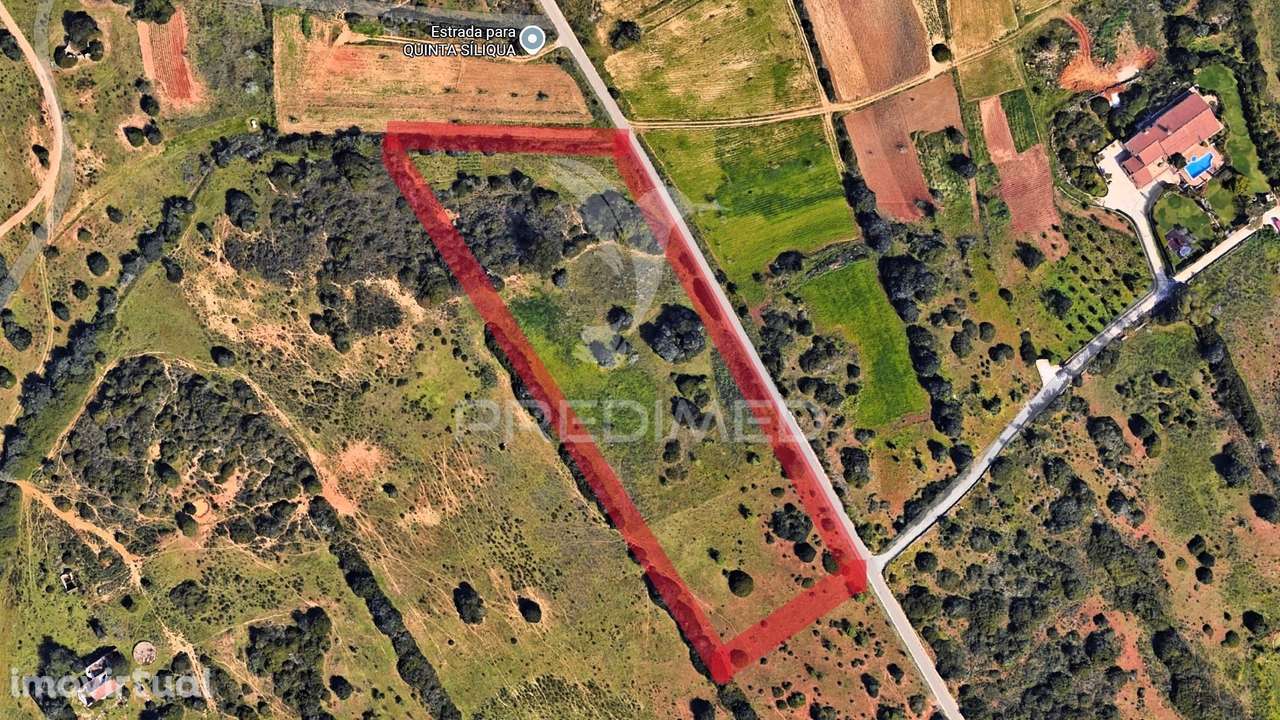 Terreno rústico com ruína - Grande imagem: 5/14