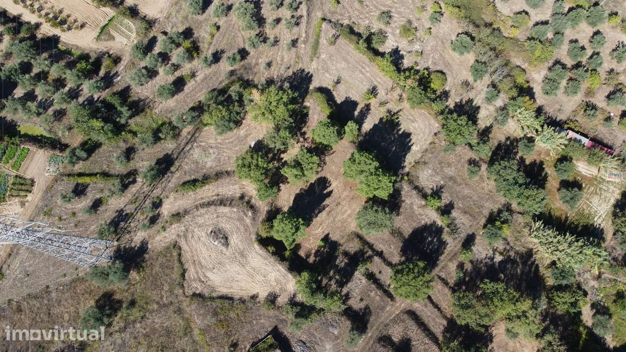 Terreno - Ferro a 10 min da Covilhã - Grande imagem: 2/26