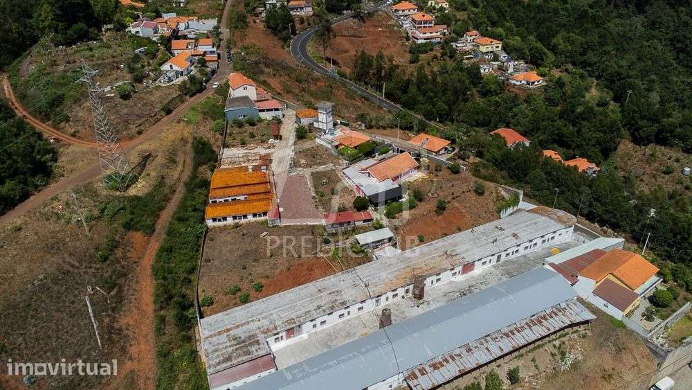 Terreno com 9.300 m² - Santa Cruz - Grande imagem: 4/30