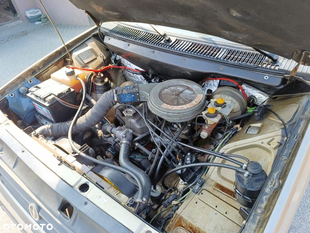 Polonez Caro - 12