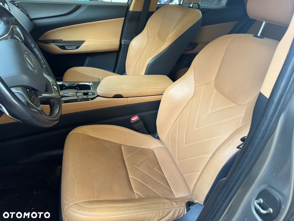 Lexus NX 350h F Sport AWD - 14