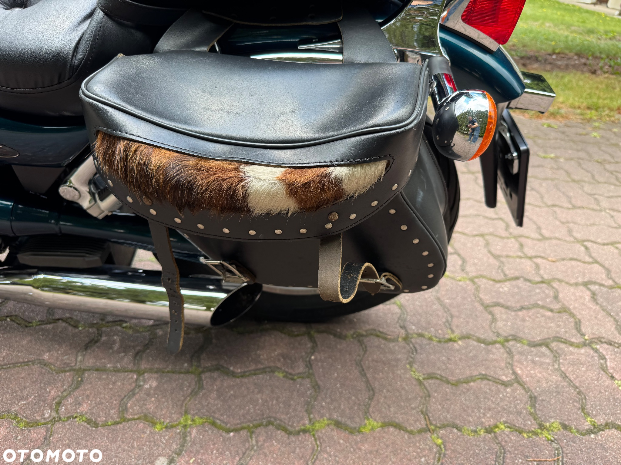 Suzuki Intruder - 16