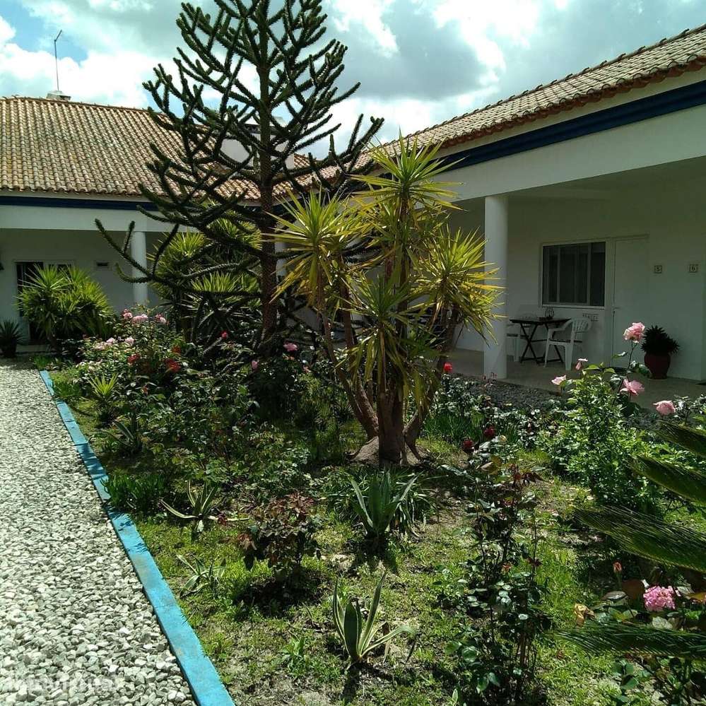 Propriedade Exclusiva no Alentejo: Alojamento Local com Potencial para - Grande imagem: 5/28