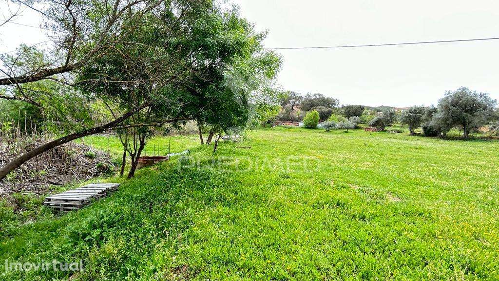 Terreno Misto - Grande imagem: 4/4