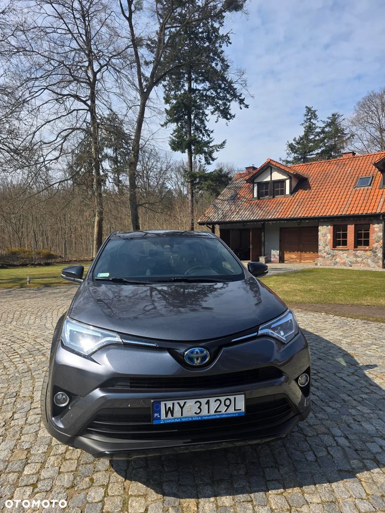 Toyota RAV4 Hybrid Selection 4x2 - 5