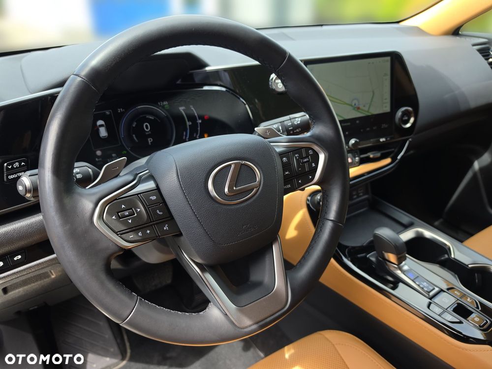 Lexus NX - 16