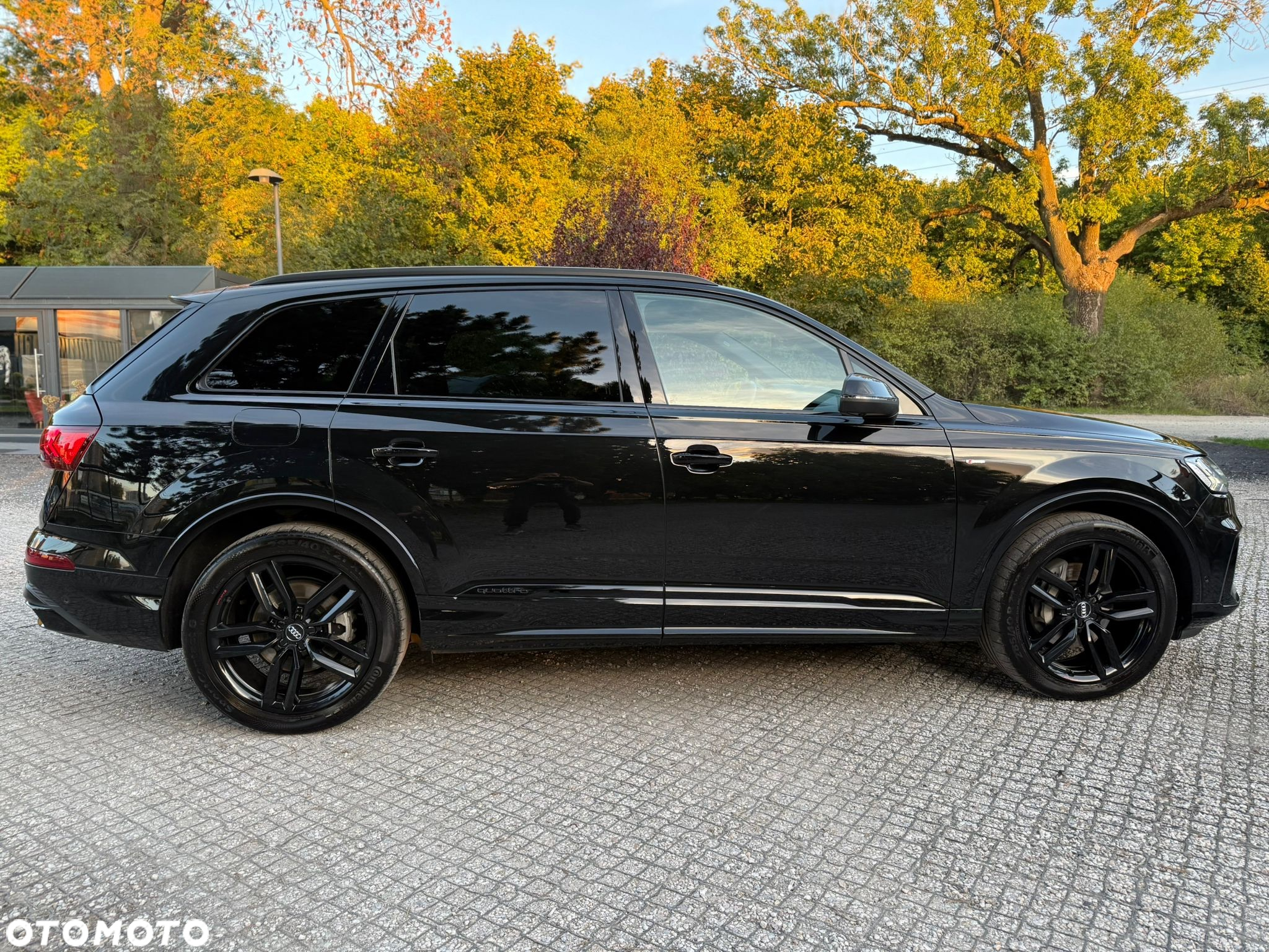 Audi Q7 - 8