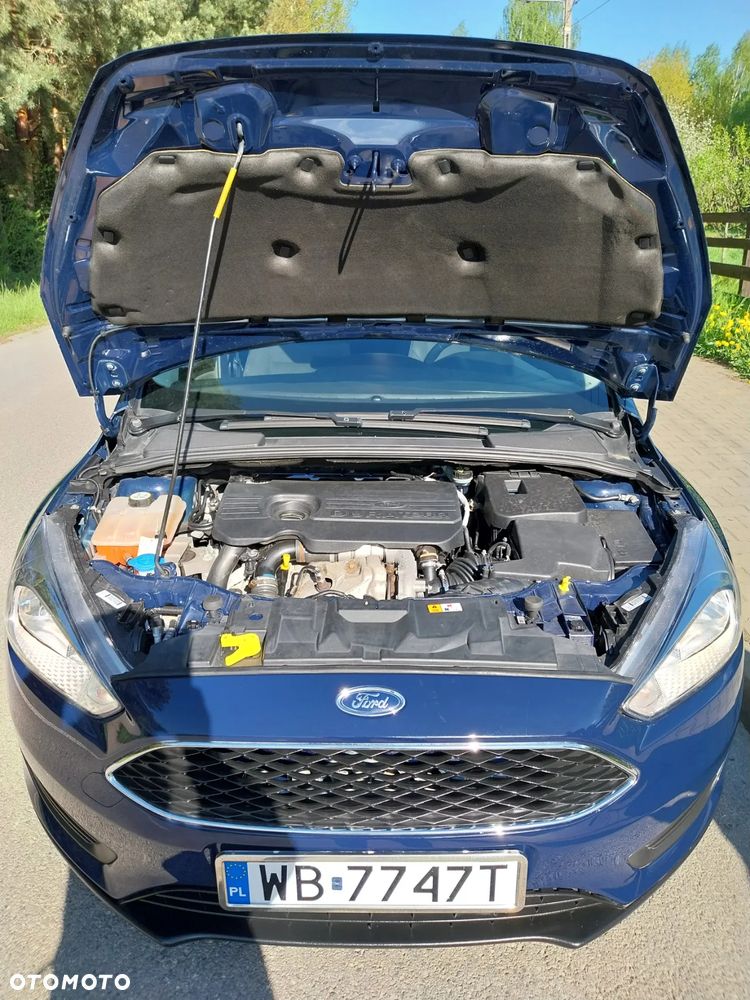 Ford Focus - 15
