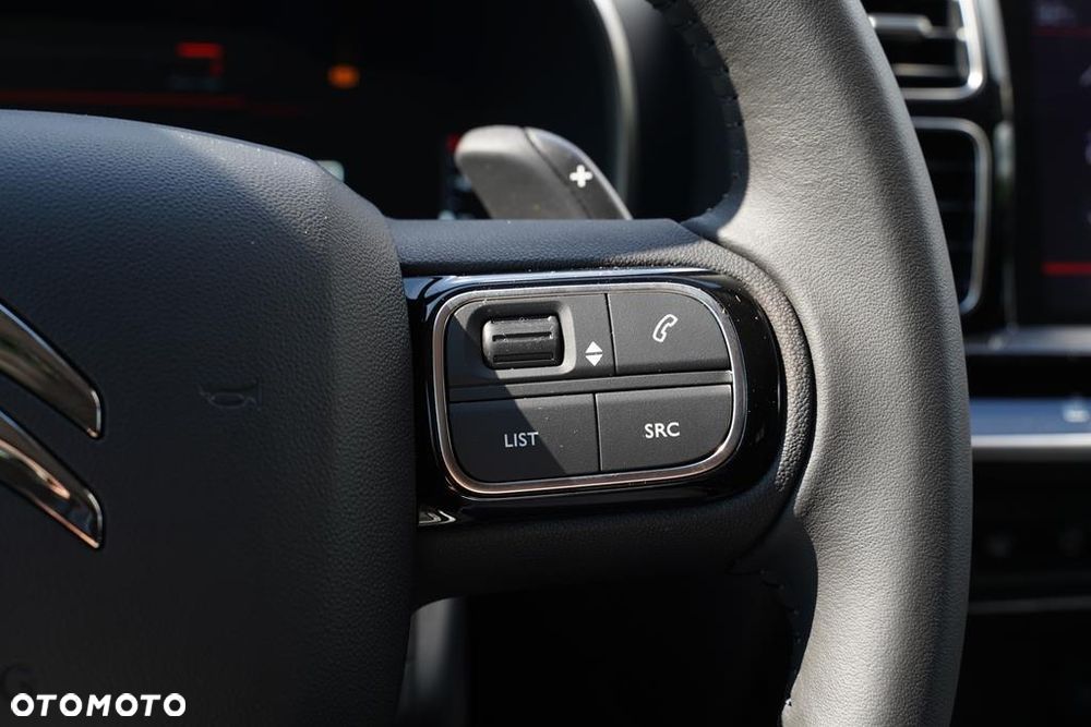 Citroën C5 Aircross 1.5 BlueHDi Max EAT8 - 19