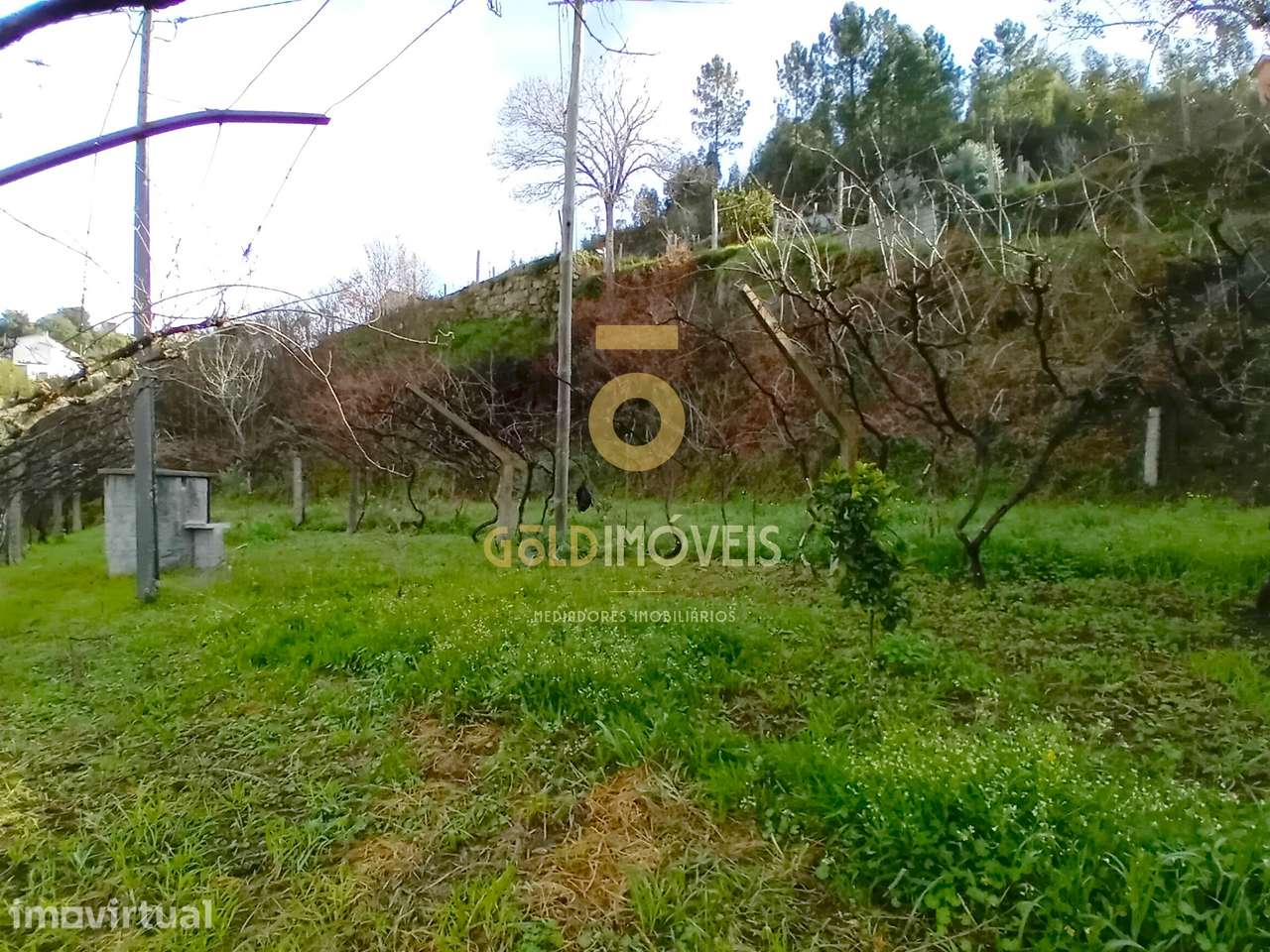 Moradia T3 Venda em Santa Maria de Sardoura,Castelo de Paiva - Grande imagem: 5/53