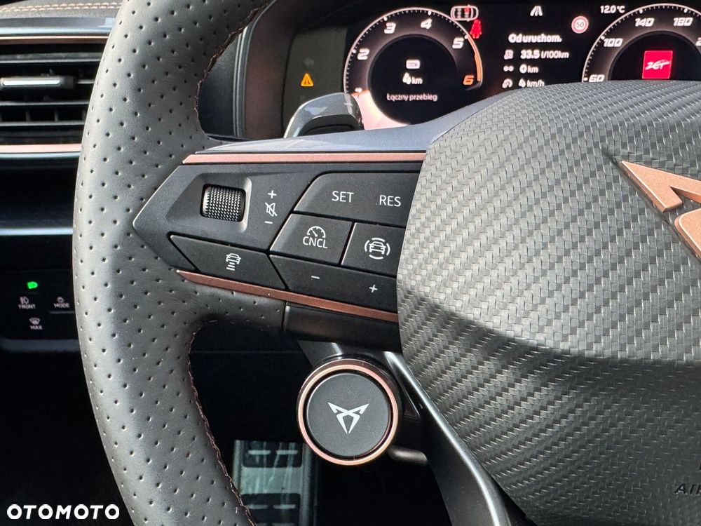 Cupra Formentor 2.0 TDI DSG - 24