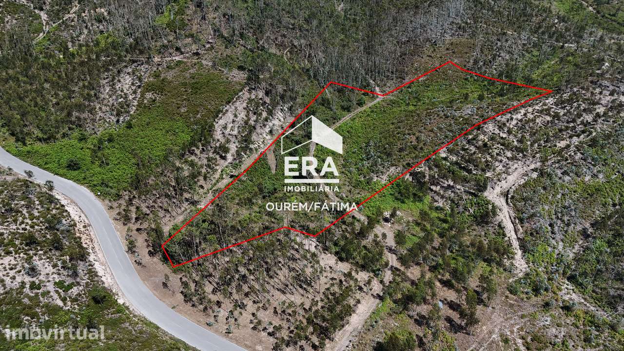 Terreno Florestal em Matas, Ourém - Grande imagem: 3/18