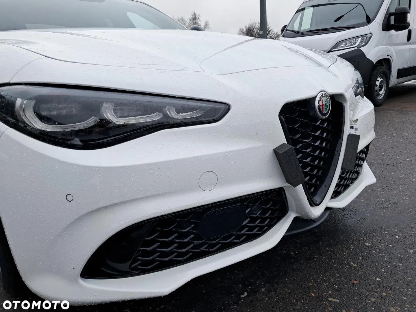 Alfa Romeo Giulia 2.0 Turbo Tributo Italiano Q4 - 22
