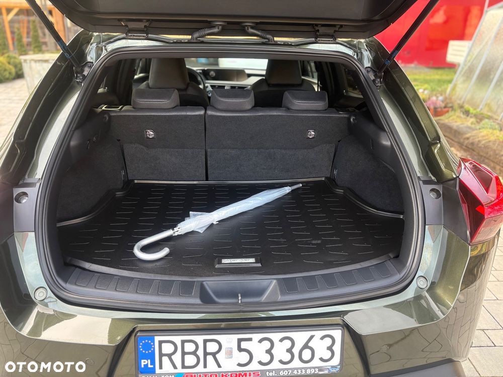 Lexus UX 250h Prestige 2WD - 17