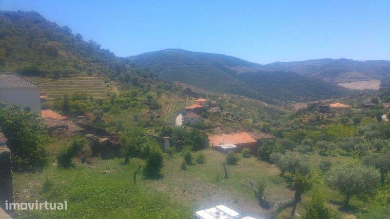 vendo casa com adega  em coleja - Grande imagem: 3/4