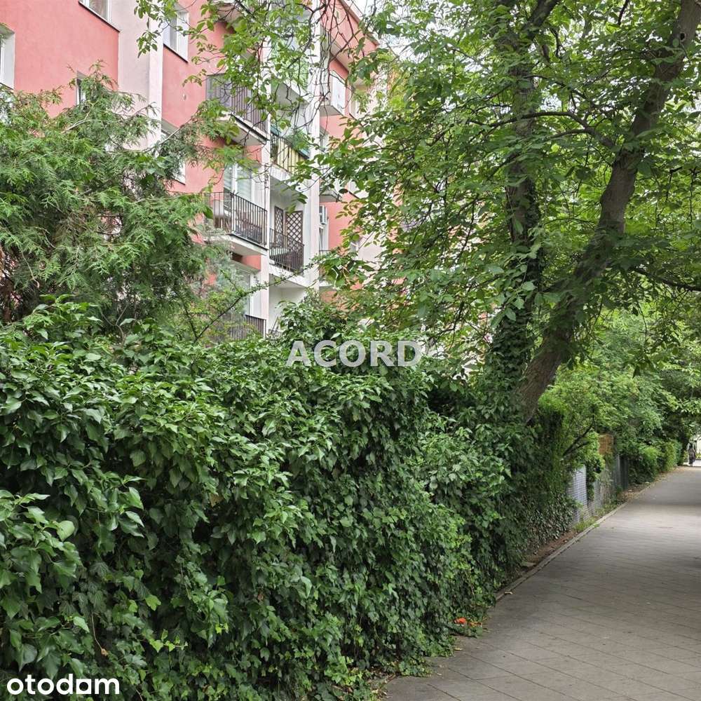 24,5 m2 na bliskim Żoliborzu