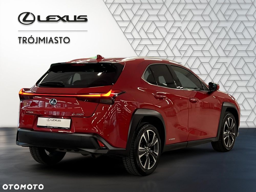 Lexus UX 250h GPF Business Edition 2WD - 6