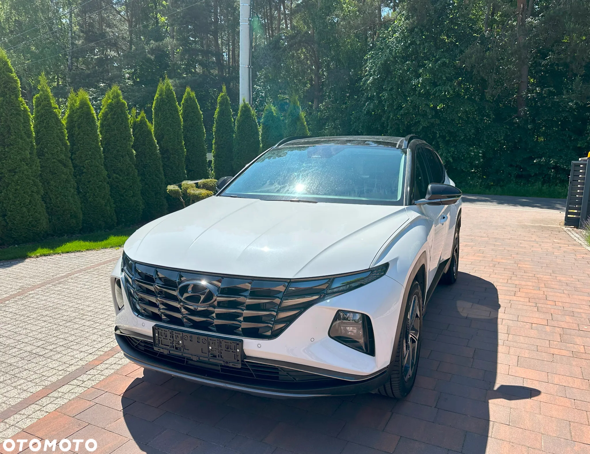 Hyundai Tucson 1.6 CRDi 48V-Hybrid 2WD DCT Prime - 2