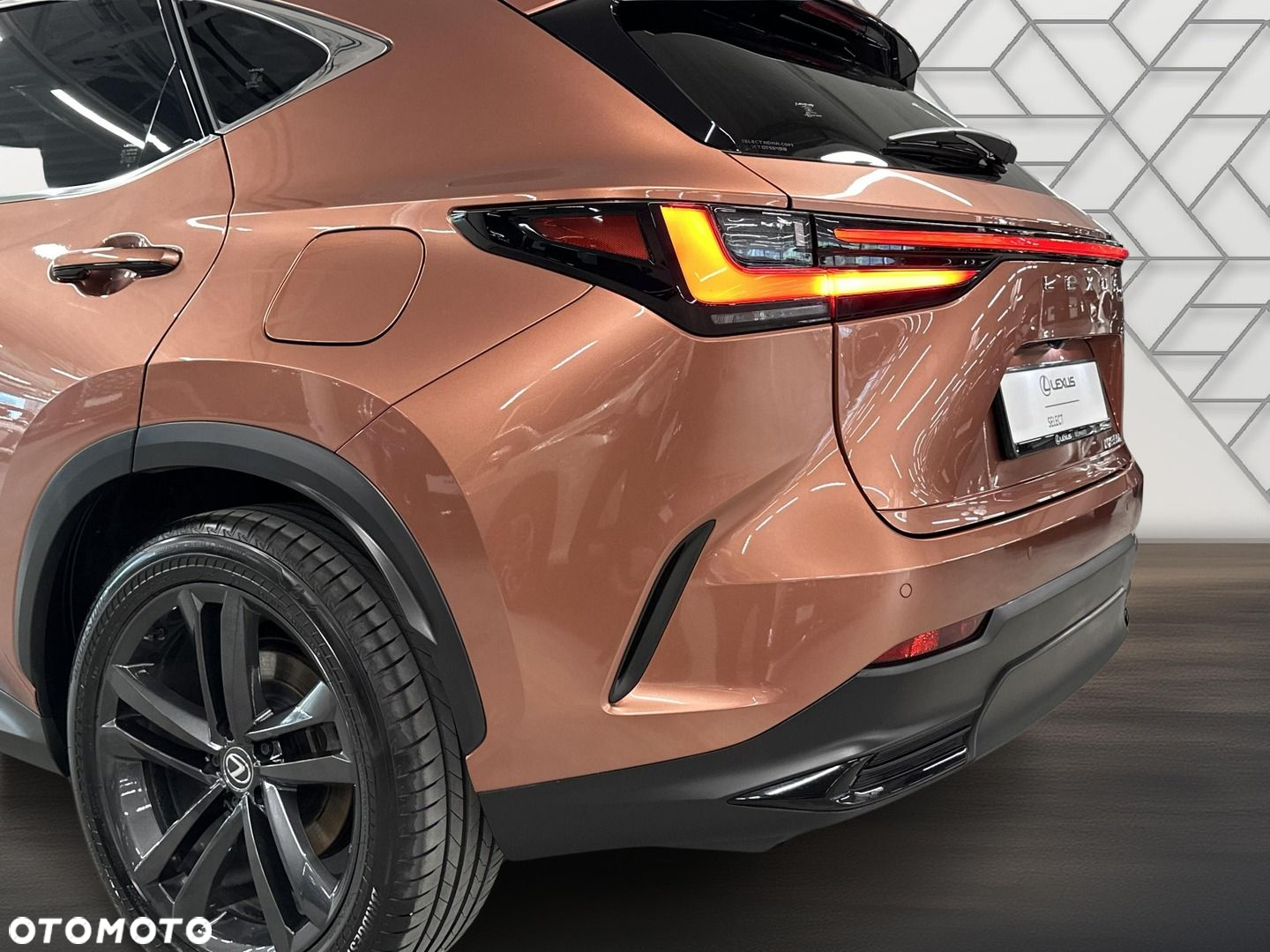 Lexus NX - 6