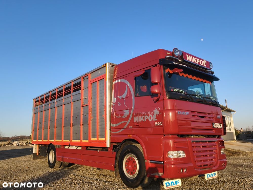 DAF XF 105.460 - 1