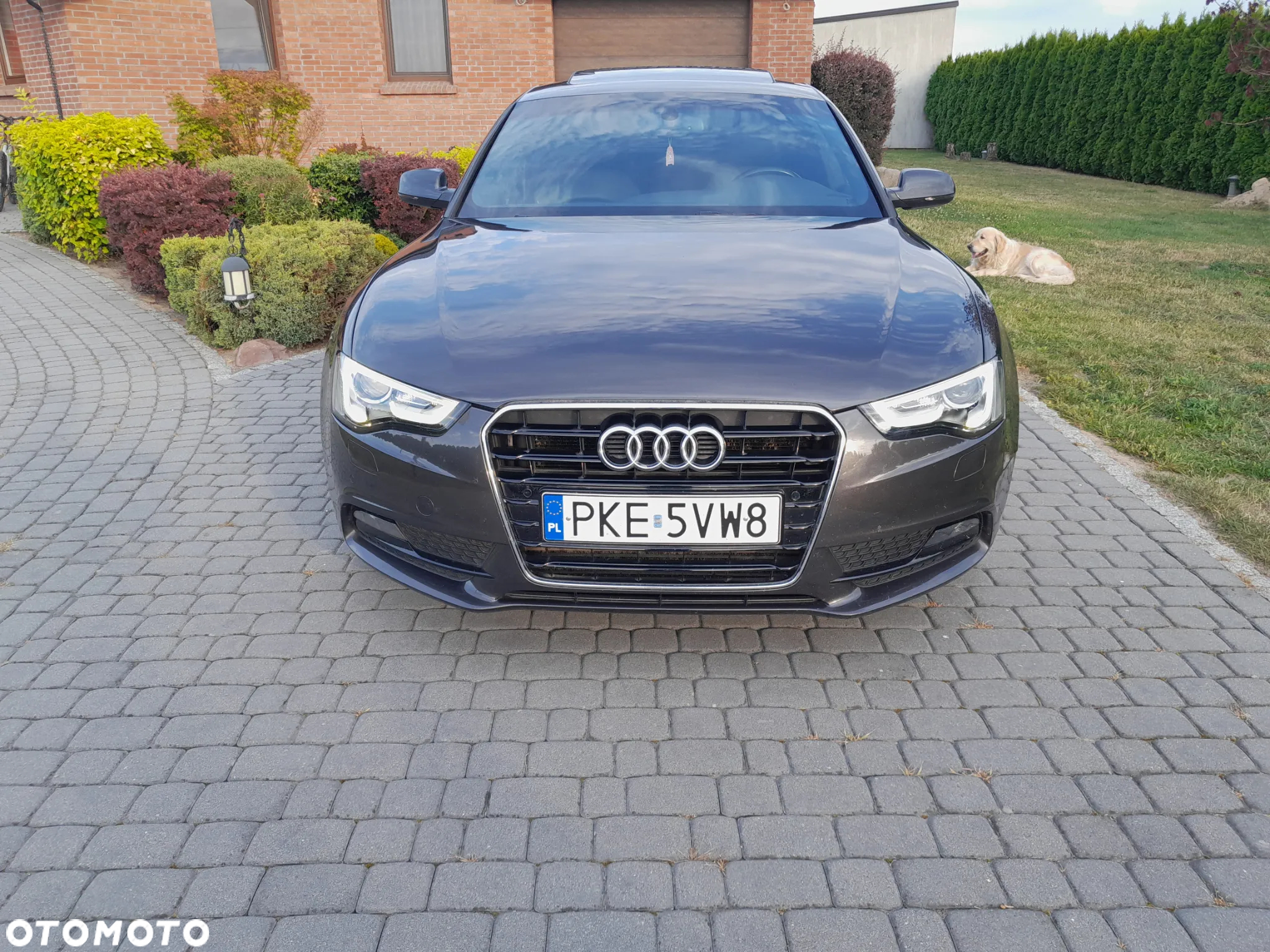 Audi A5 2.0 TDI Multitronic - 5