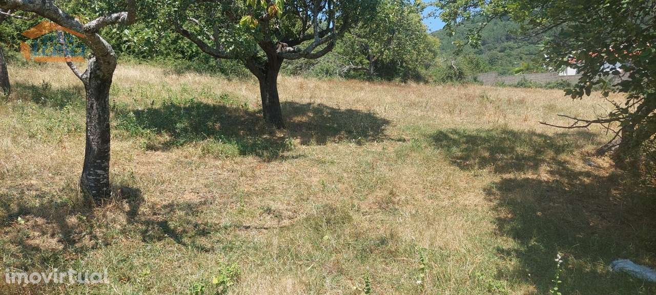 Moradia individual, para venda, Vinhais - Vinhais - Grande imagem: 5/15