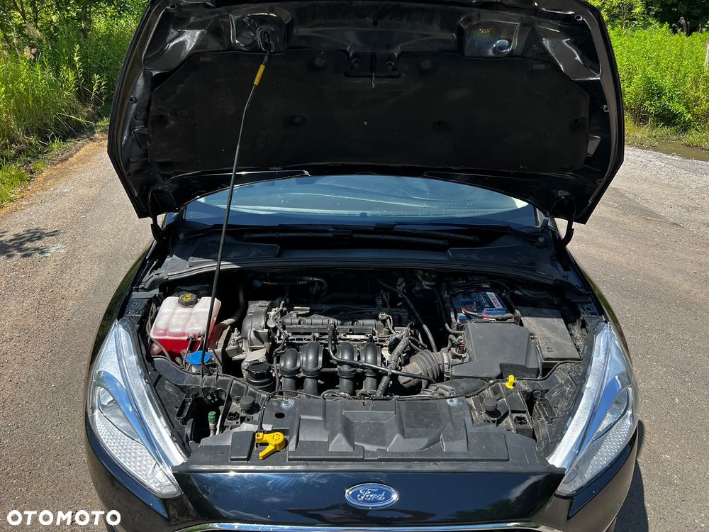 Ford Focus - 17