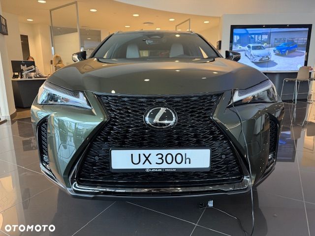Lexus UX 300h F Sport Design - 5