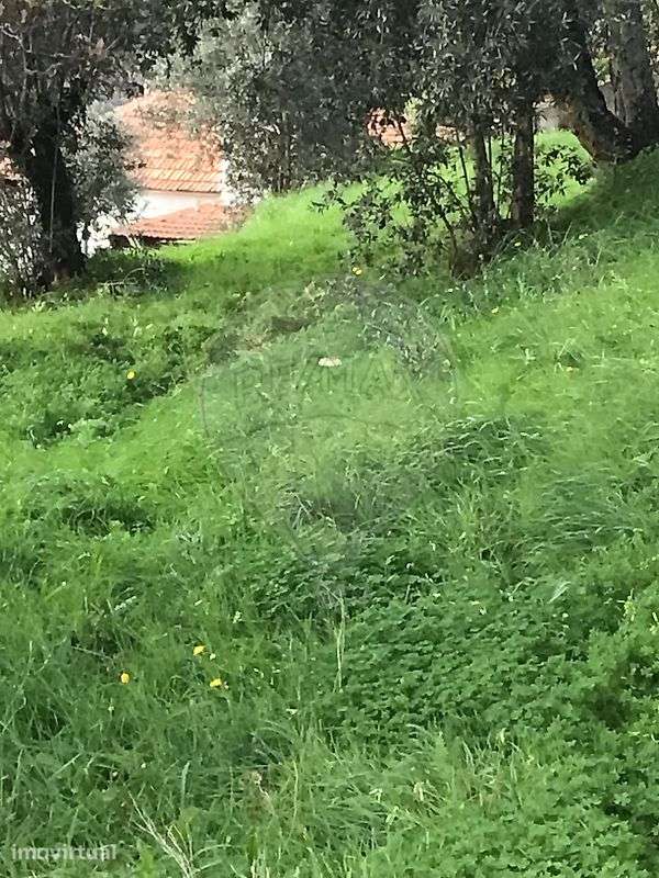 Terreno  para venda - Grande imagem: 2/10