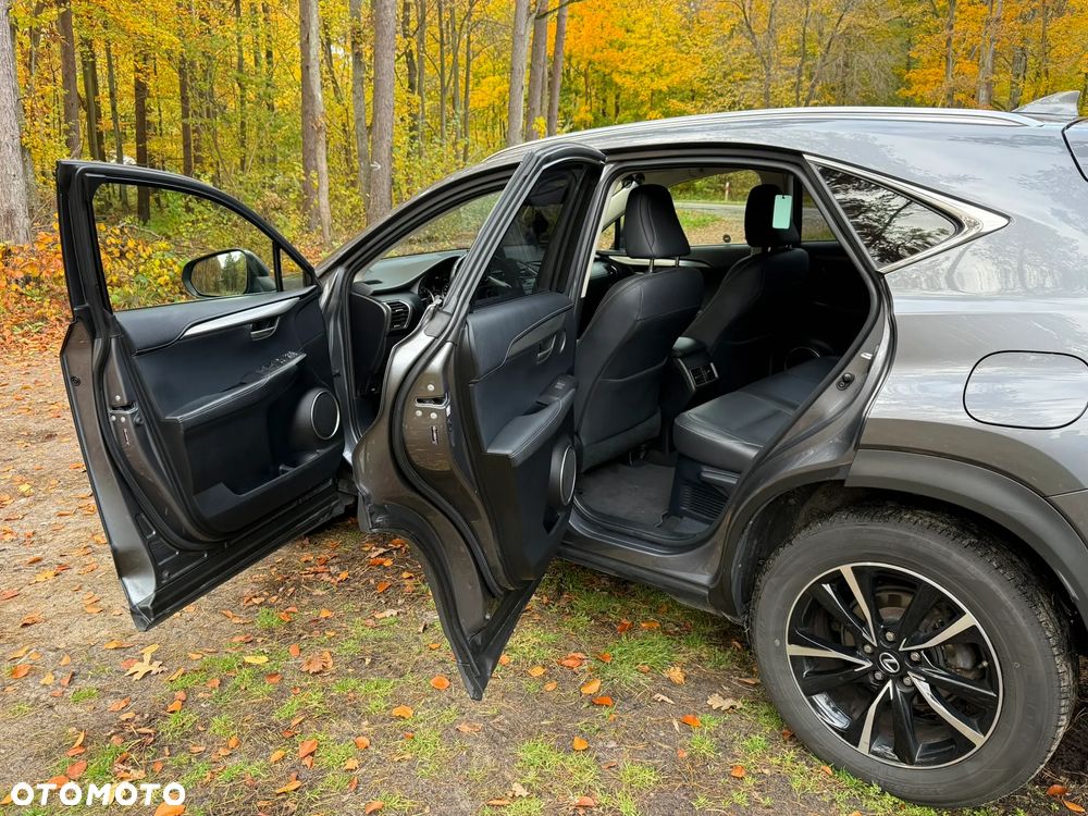 Lexus NX - 6
