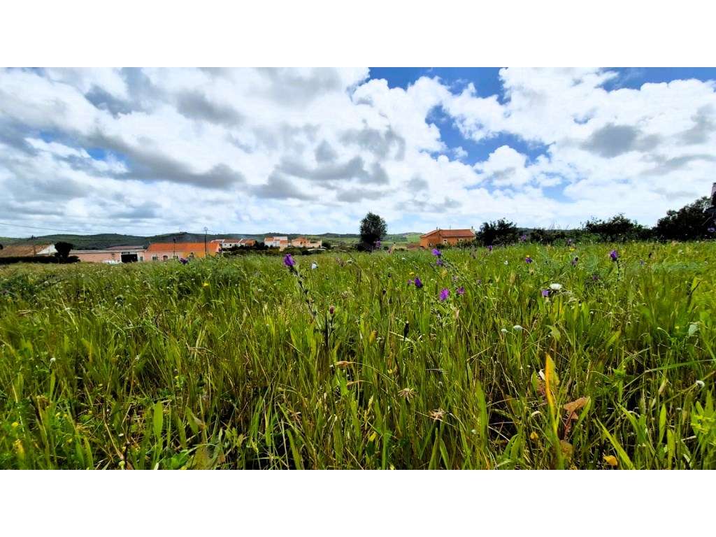 Terreno, Silves, Pedreira - Grande imagem: 3/12