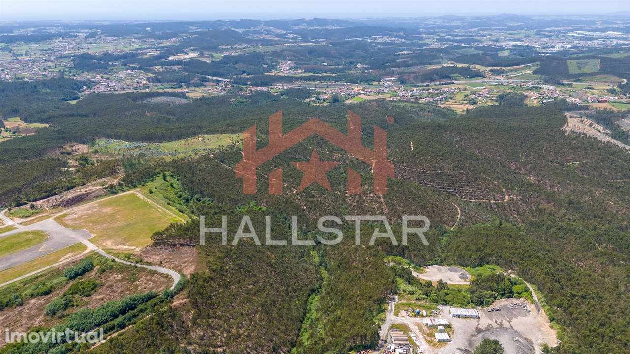 Terreno Florestal / Eucaliptal / 10 Hectares / Trofa - Grande imagem: 5/23