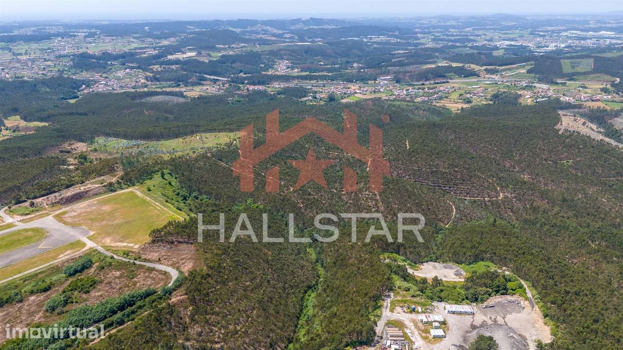 Terreno Florestal / Eucaliptal / 10 Hectares / Trofa - Grande imagem: 5/23