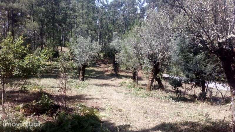 Terreno para construção - Grande imagem: 4/4