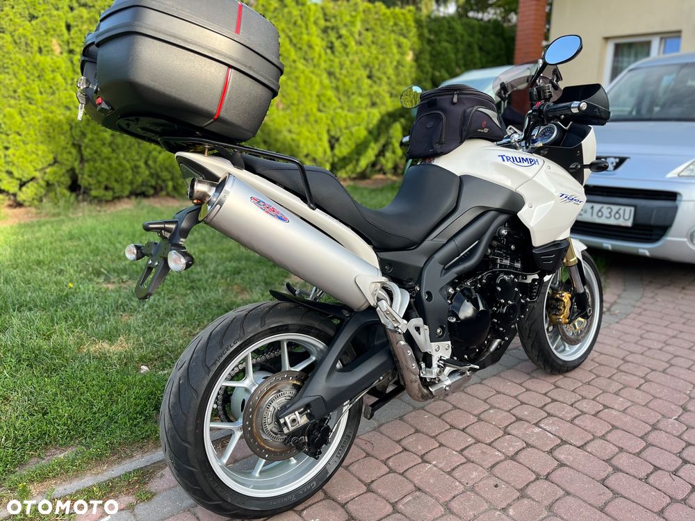 Triumph Tiger - 4