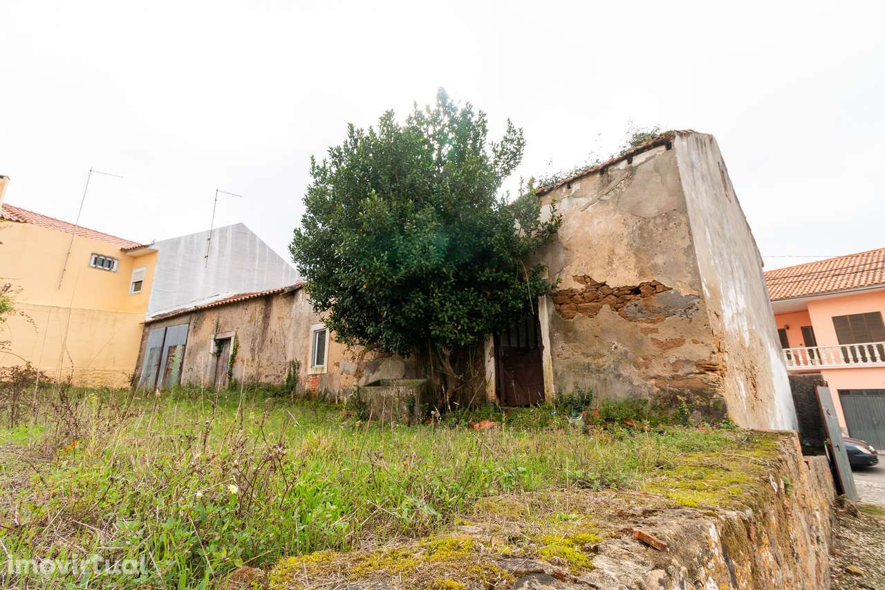 Moradia T3 para recuperação com terreno em Vestiaria - Alcobaça - Grande imagem: 4/11