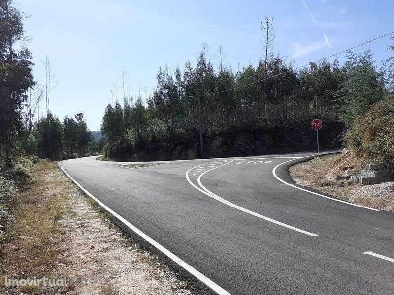 2 terrenos rústicos - Arganil. - Grande imagem: 3/6