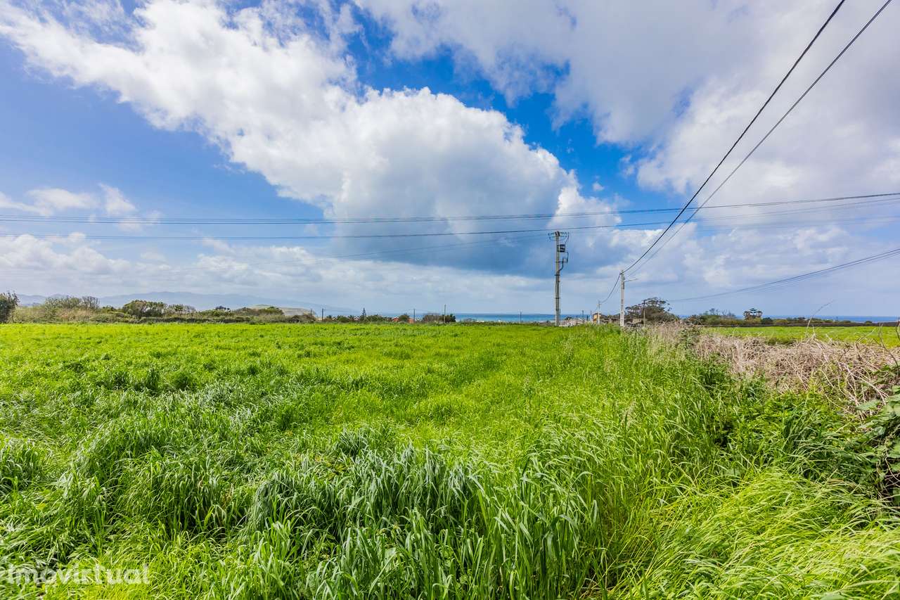 Terreno Rústico - Caminho da Mafoma, Ribeira Seca - Grande imagem: 3/7