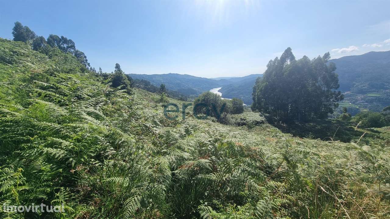 Terreno em Ventosa - Vieira do Minho - Oportunidade Única - Grande imagem: 4/16