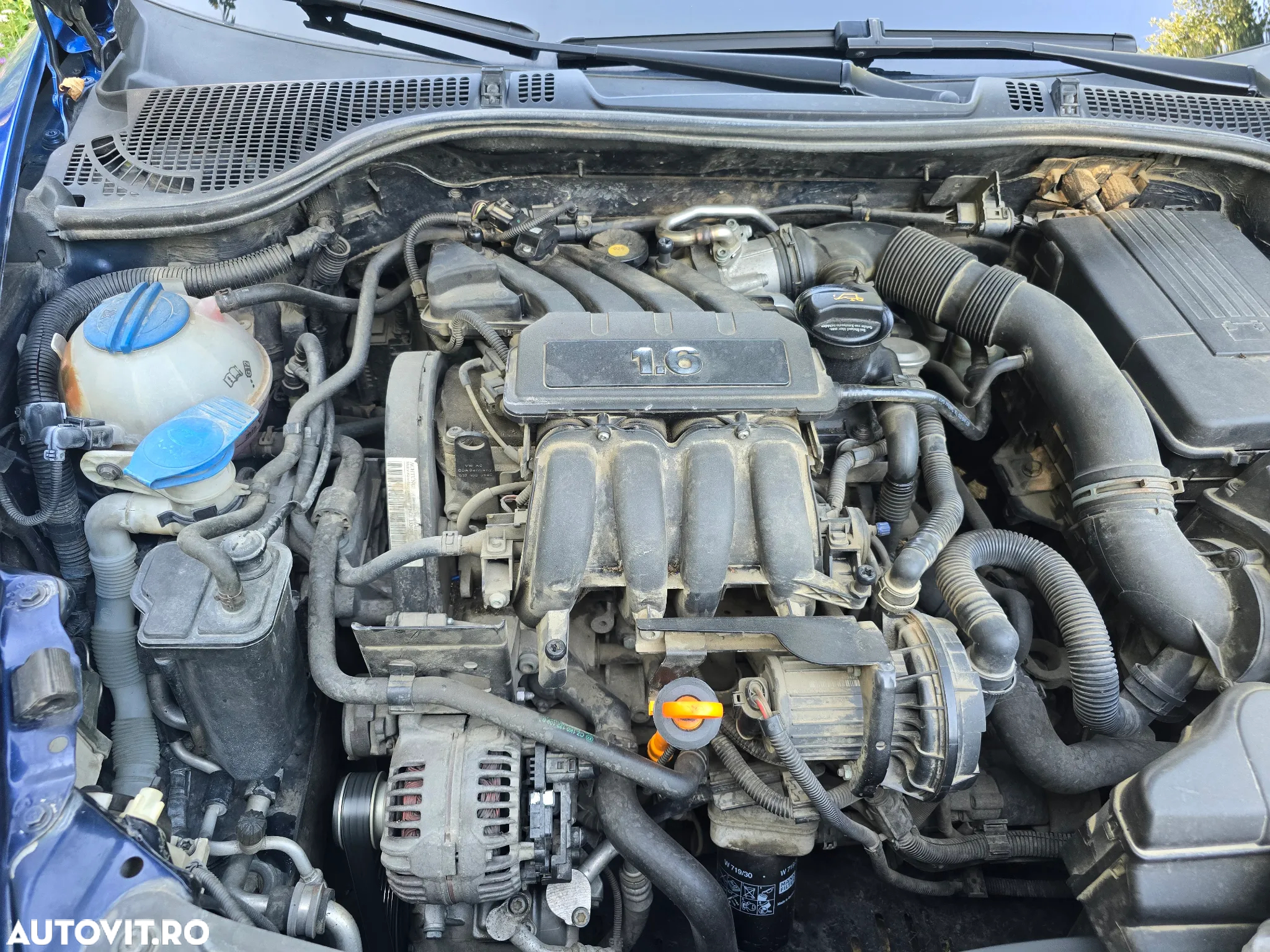 Skoda Octavia 1.6 Ambiente - 14