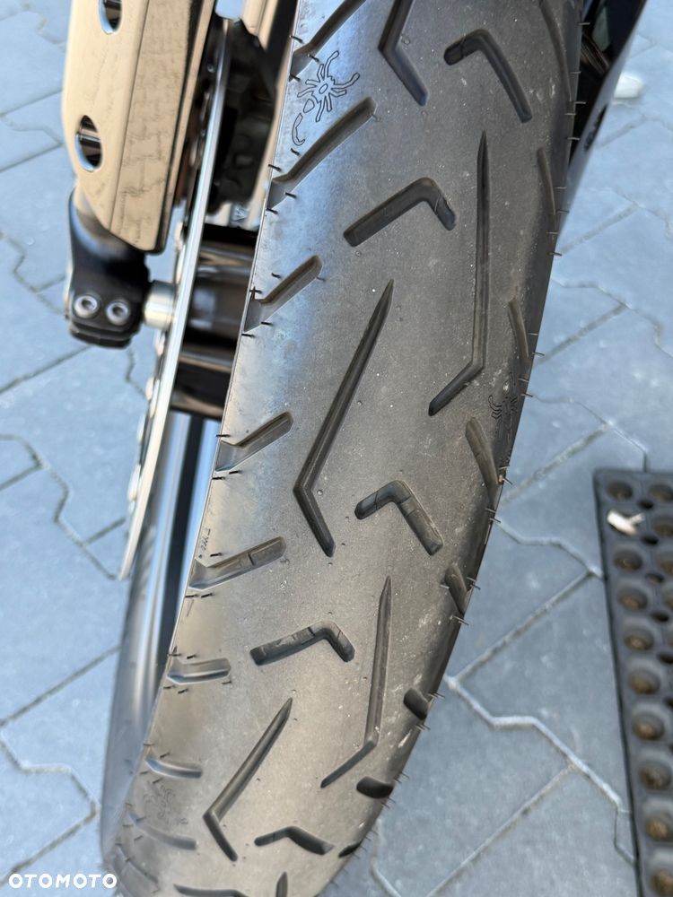 Triumph Tiger - 23